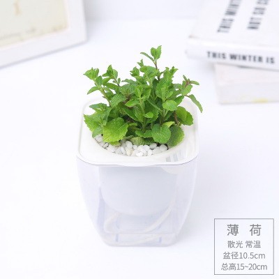 开云手机站登入