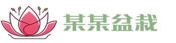 开云手机站登入-开云online（中国）
